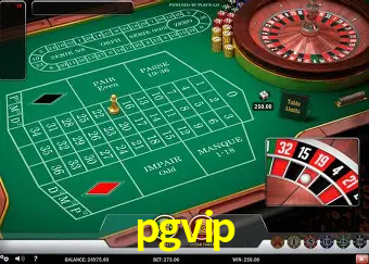 Descubra o Mundo do Cassino Online com pgvip